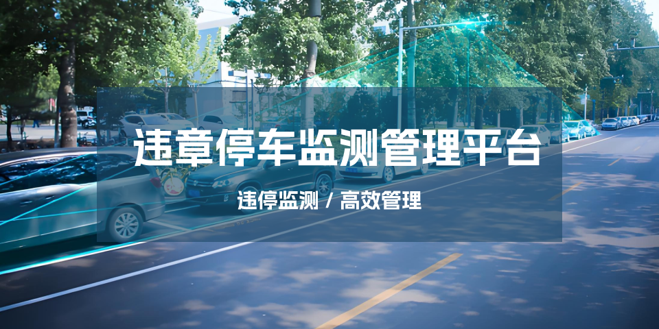 违章停车监测管理平台