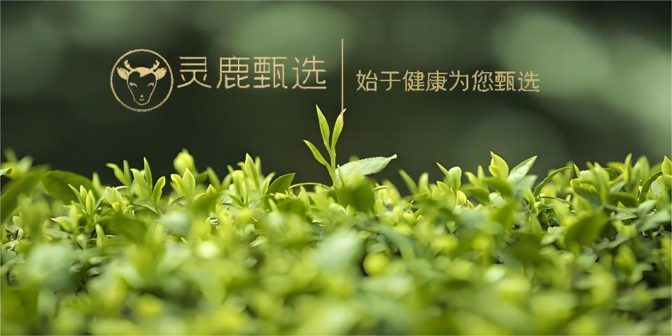 灵鹿甄选